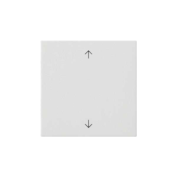 Gira Wippe 1-fach Reinweiß 538927
